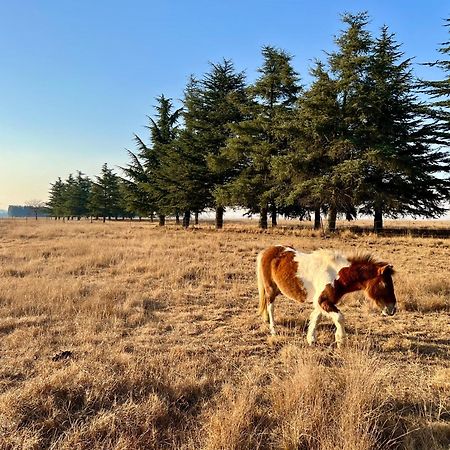 Merino Stal Guest Farm إرميلو المظهر الخارجي الصورة