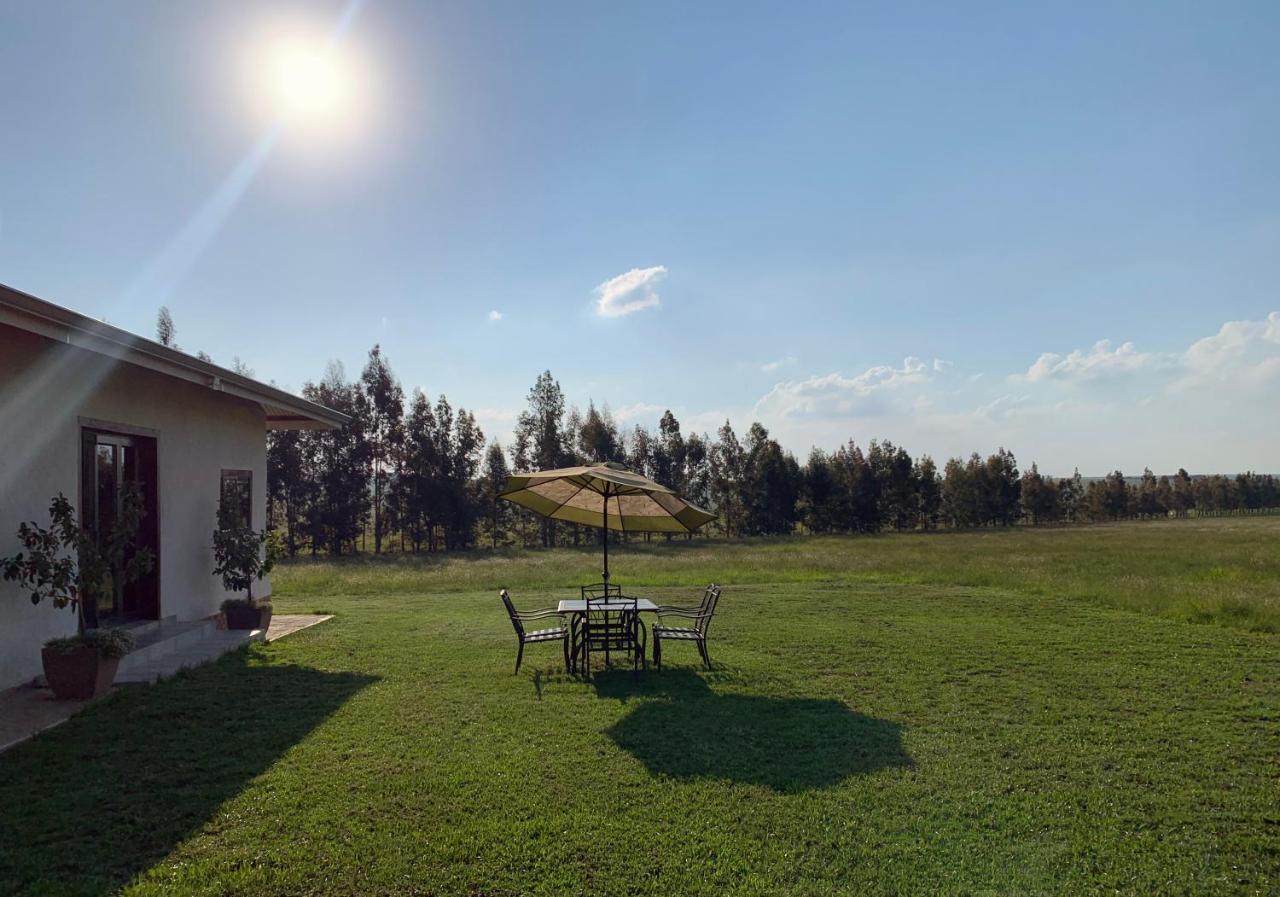 Merino Stal Guest Farm إرميلو المظهر الخارجي الصورة